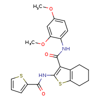 N-(2,4-dimethoxyphenyl)-2-(thiophene-2-amido)-4,5,6,7-tetrahydro-1-benzothiophene-3-carboxamide