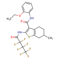 N-(2-ethoxyphenyl)-2-(2,2,3,3,4,4,4-heptafluorobutanamido)-6-methyl-4,5,6,7-tetrahydro-1-benzothiophene-3-carboxamide