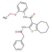 N-(2-ethoxyphenyl)-2-(2-phenylacetamido)-4H,5H,6H,7H,8H-cyclohepta[b]thiophene-3-carboxamide