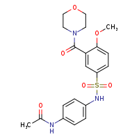 N-{4-[4-methoxy-3-(morpholine-4-carbonyl)benzenesulfonamido]phenyl}acetamide