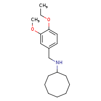 N-[(4-ethoxy-3-methoxyphenyl)methyl]cyclooctanamine