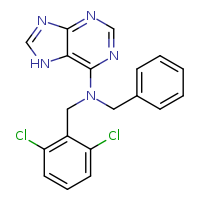 N-benzyl-N-[(2,6-dichlorophenyl)methyl]-7H-purin-6-amine