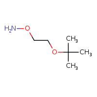 O-[2-(tert-butoxy)ethyl]hydroxylamine