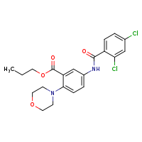 propyl 5-(2,4-dichlorobenzamido)-2-(morpholin-4-yl)benzoate