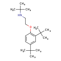 tert-butyl[2-(2,4-di-tert-butylphenoxy)ethyl]amine