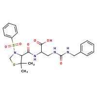 2-{[3-(benzenesulfonyl)-5,5-dimethyl-1,3-thiazolidin-4-yl]formamido}-3-[(benzylcarbamoyl)amino]propanoic acid