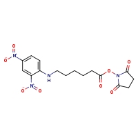 2,5-dioxopyrrolidin-1-yl 6-[(2,4-dinitrophenyl)amino]hexanoate