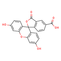 5(6)-carboxyfluorescein