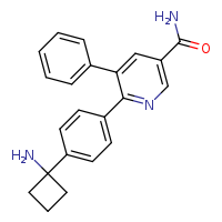 6-[4-(1-aminocyclobutyl)phenyl]-5-phenylpyridine-3-carboxamide