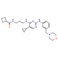 N-{3-[(5-cyclopropyl-2-{[3-(morpholin-4-ylmethyl)phenyl]amino}pyrimidin-4-yl)amino]propyl}cyclobutanecarboxamide