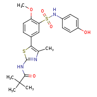 N-(5-{3-[(4-hydroxyphenyl)sulfamoyl]-4-methoxyphenyl}-4-methyl-1,3-thiazol-2-yl)-2,2-dimethylpropanamide