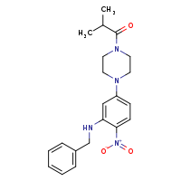 1-{4-[3-(benzylamino)-4-nitrophenyl]piperazin-1-yl}-2-methylpropan-1-one