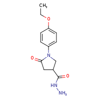 1-(4-ethoxyphenyl)-5-oxopyrrolidine-3-carbohydrazide