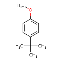 1-tert-butyl-4-methoxybenzene