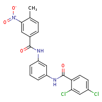 2,4-dichloro-N-[3-(4-methyl-3-nitrobenzamido)phenyl]benzamide