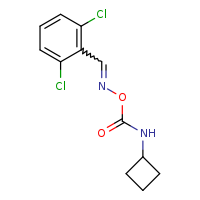 [(2,6-dichlorophenyl)methylidene]amino N-cyclobutylcarbamate