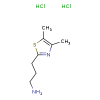 3-(4,5-dimethyl-1,3-thiazol-2-yl)propan-1-amine dihydrochloride