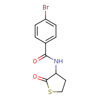 4-bromo-N-(2-oxothiolan-3-yl)benzamide
