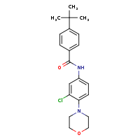 4-tert-butyl-N-[3-chloro-4-(morpholin-4-yl)phenyl]benzamide