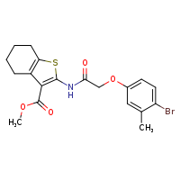 methyl 2-[2-(4-bromo-3-methylphenoxy)acetamido]-4,5,6,7-tetrahydro-1-benzothiophene-3-carboxylate