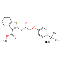 methyl 2-[2-(4-tert-butylphenoxy)acetamido]-4,5,6,7-tetrahydro-1-benzothiophene-3-carboxylate