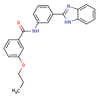 N-[3-(1H-1,3-benzodiazol-2-yl)phenyl]-3-propoxybenzamide
