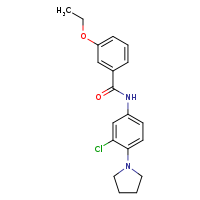 N-[3-chloro-4-(pyrrolidin-1-yl)phenyl]-3-ethoxybenzamide
