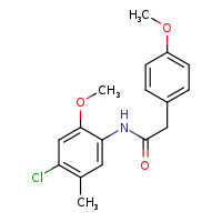 N-(4-chloro-2-methoxy-5-methylphenyl)-2-(4-methoxyphenyl)acetamide