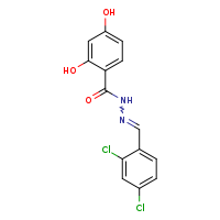 N'-[(E)-(2,4-dichlorophenyl)methylidene]-2,4-dihydroxybenzohydrazide