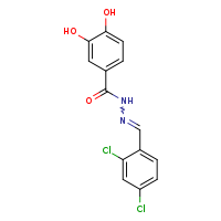 N'-[(E)-(2,4-dichlorophenyl)methylidene]-3,4-dihydroxybenzohydrazide