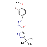 N'-[(E)-(3-bromo-4-methoxyphenyl)methylidene]-5-tert-butyl-2H-pyrazole-3-carbohydrazide