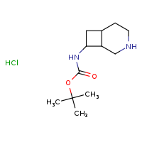 tert-butyl N-{3-azabicyclo[4.2.0]octan-8-yl}carbamate hydrochloride