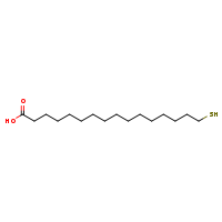 16-sulfanylhexadecanoic acid
