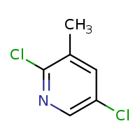 2,5-dichloro-3-methylpyridine