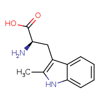 (2R)-2-amino-3-(2-methyl-1H-indol-3-yl)propanoic acid