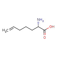 (2S)-2-aminohept-6-enoic acid