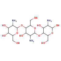 3-amino-5-[(3-amino-5-{[3-amino-4,5-dihydroxy-6-(hydroxymethyl)oxan-2-yl]oxy}-4-hydroxy-6-(hydroxymethyl)oxan-2-yl)oxy]-6-(hydroxymethyl)oxane-2,4-diol