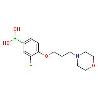 3-fluoro-4-[3-(morpholin-4-yl)propoxy]phenylboronic acid