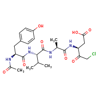(3S)-5-chloro-3-[(2S)-2-[(2S)-2-[(2S)-2-acetamido-3-(4-hydroxyphenyl)propanamido]-3-methylbutanamido]propanamido]-4-oxopentanoic acid