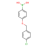 4-[(4-chlorophenyl)methoxy]phenylboronic acid