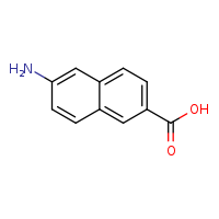 6-aminonaphthalene-2-carboxylic acid