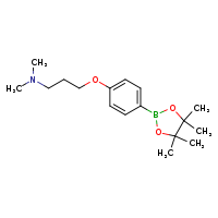 dimethyl({3-[4-(4,4,5,5-tetramethyl-1,3,2-dioxaborolan-2-yl)phenoxy]propyl})amine