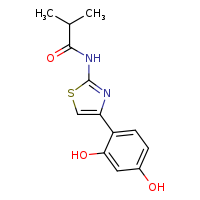N-[4-(2,4-dihydroxyphenyl)-1,3-thiazol-2-yl]-2-methylpropanamide