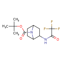 tert-butyl 2-(2,2,2-trifluoroacetamido)-7-azabicyclo[2.2.1]heptane-7-carboxylate