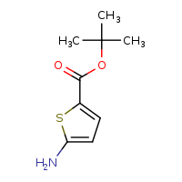 tert-butyl 5-aminothiophene-2-carboxylate