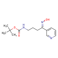 tert-butyl N-[4-(hydroxyimino)-4-(pyridin-3-yl)butyl]carbamate