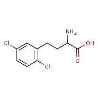 2-amino-4-(2,5-dichlorophenyl)butanoic acid