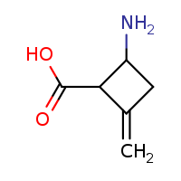 2-amino-4-methylidenecyclobutane-1-carboxylic acid