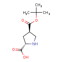 (2S,4R)-4-(tert-butoxycarbonyl)pyrrolidine-2-carboxylic acid