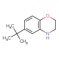 6-tert-butyl-3,4-dihydro-2H-1,4-benzoxazine